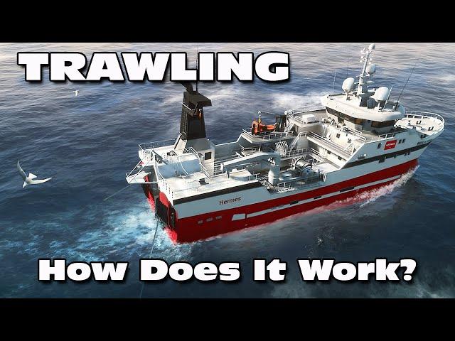 Fishing: North Atlantic - How to trawl for fish