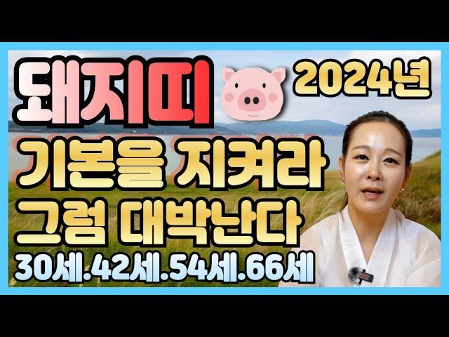 2024년 돼지띠 하반기운세/95년을해생/83년계해생/71년신해생/59년기해생/기본을 지켜라 그럼 대박난다
