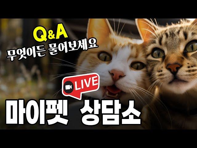 [제206화] 마이펫 라이브 상담소 . 고양이 Q n A