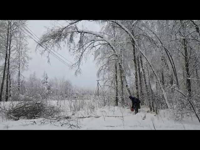 Расчистка просеки ЛЭП от поваленных деревьев