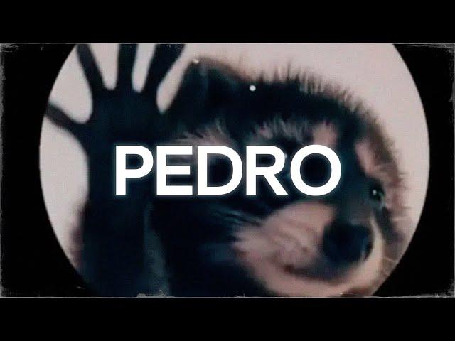 la canción de pedro || PEDRO - Raffaella Carrà, Jaxomy, Agatino Romero (Remix - Letra)