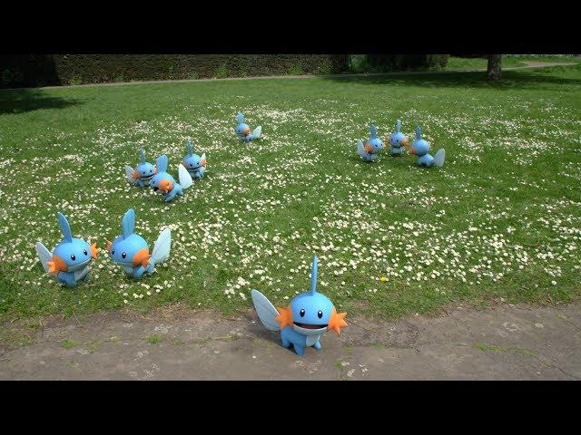 Pokémon GO Community Day: Mudkip Everywhere!