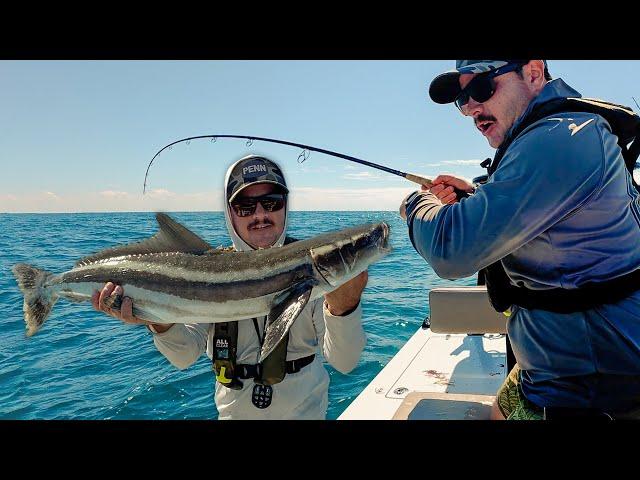 I Was So Close... SOLO Offshore Fishing in a SKIFF | Kingfish, Cobia, Sharks