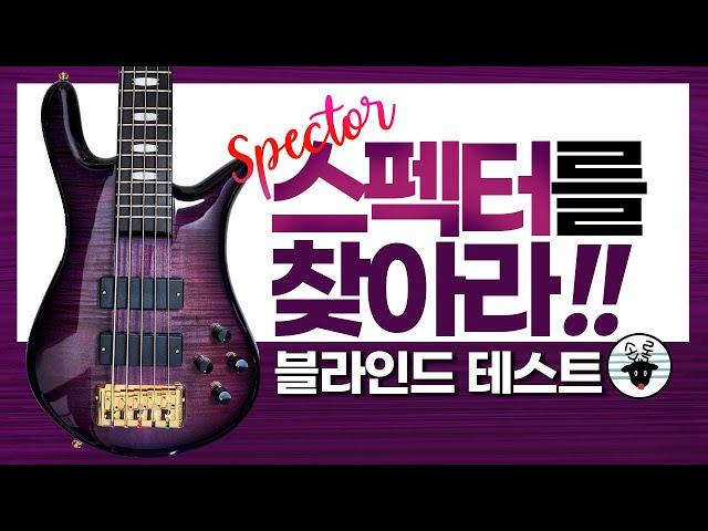유로스펙터를 찾아라! 베이스 블라인드 테스트 2탄! -손록손록tv- 5 Bass Blind Test, Find Spector 5LT