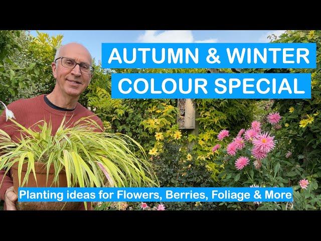 FALL & WINTER COLOUR SPECIAL – AUTUMN PLANTING IDEAS FOR FLOWERS, BERRIES & MORE + POTS + TULIPS