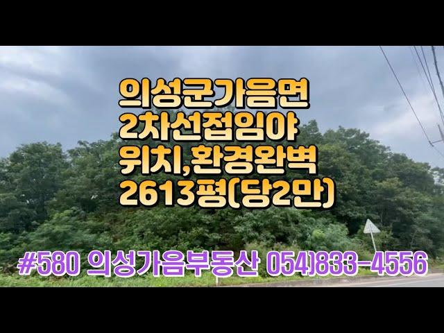 #580 의성가음부동산 2차선접한 임야 2613평(당2만원)  시세보다 많이 싼 물건 #의성부동산#군위부동산#의성땅#군위땅#의성촌집#군위촌집#싼땅#임야#자연인#묘터