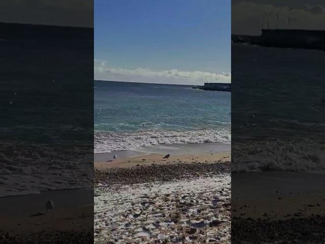 Одна на море 12 января .