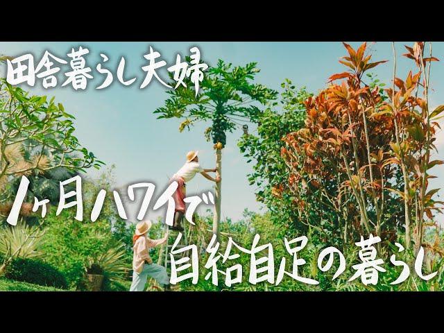 【County Life with Takasu tile in Hawaii 】A month of self-sufficient honeymoon life on the Big Island