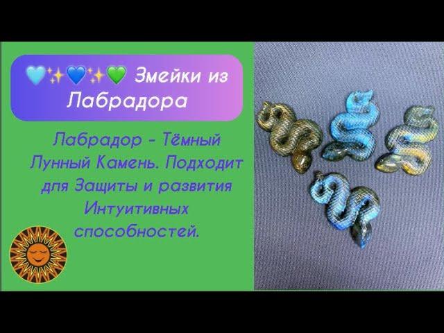 🩵 Змейки из Лабрадора