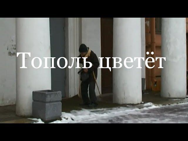 Тополь цветёт. Фильм. Анатолий Алексеевич Васильев. Искусствовед Владимир Васильев