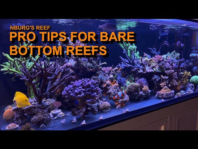 Elevate Your Bare Bottom Aquarium: Tips for Success