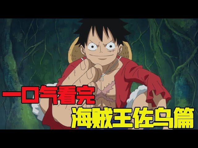 [One Piece] Watch the One Piece Sashima chapter in one breath in 90 minutes!