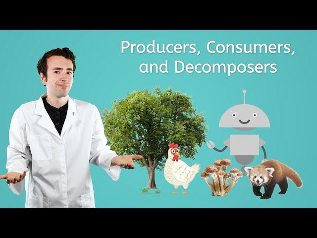 Producers, Consumers, and Decomposers - General Science for Kids!