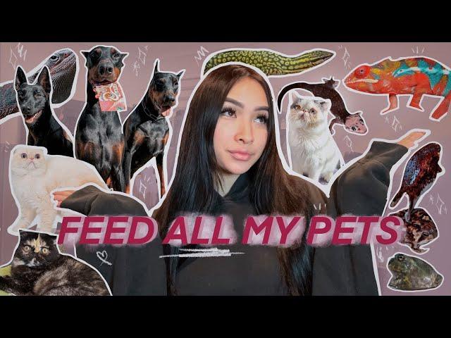 FEEDING ALL MY PETS, AGAIN!