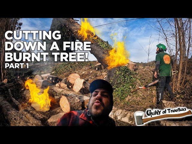 Cutting down a Fire Burned Tree with Randy! | Part 1