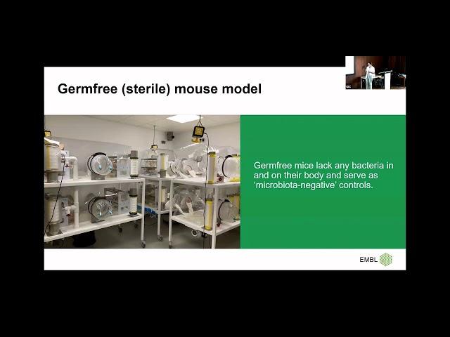 SymbNET Seminar Series - Maria Zimmermann-Kogadeeva (EMBL)