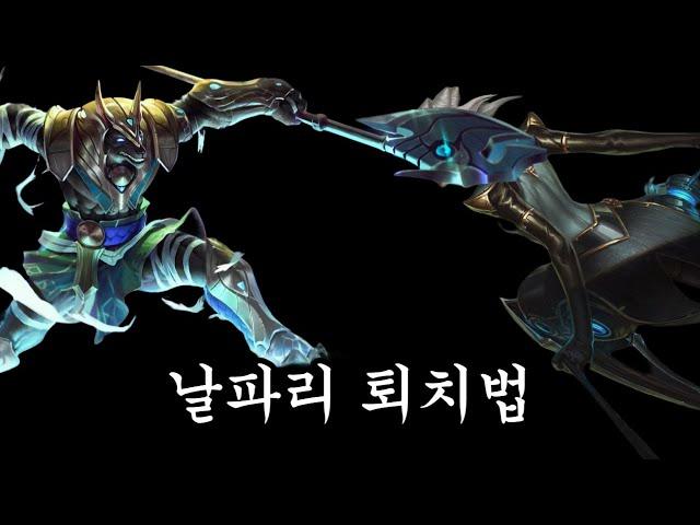 겁 없이 날아드는 제우스 호소인(나서스vs카밀)