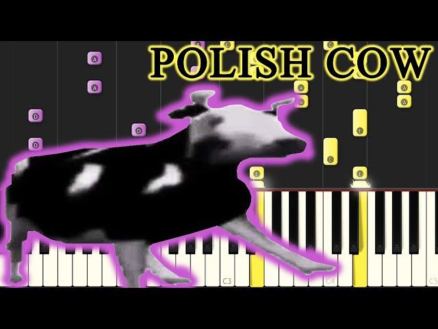Dancing polish cow at 4 am MEME on PIANO