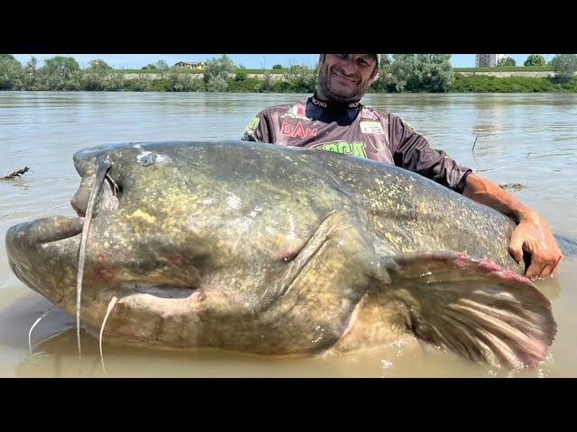 Pescador captura bagre gigante na italia, e bate record mundial