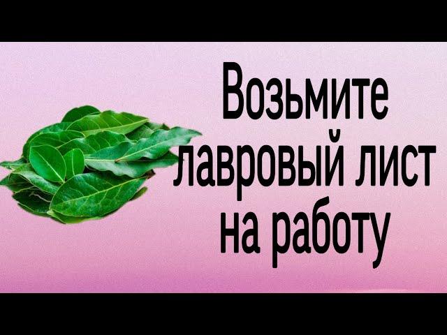 Возьмите лавровый лист на работу. | Тайна Жрицы |