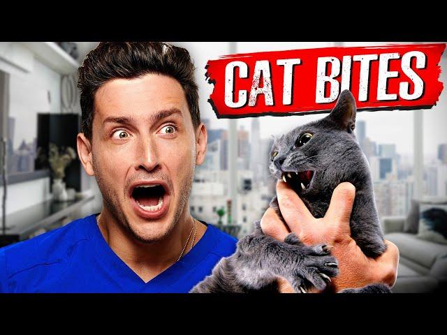 Why Cat Bites Are Actually So Dangerous | RTC 35