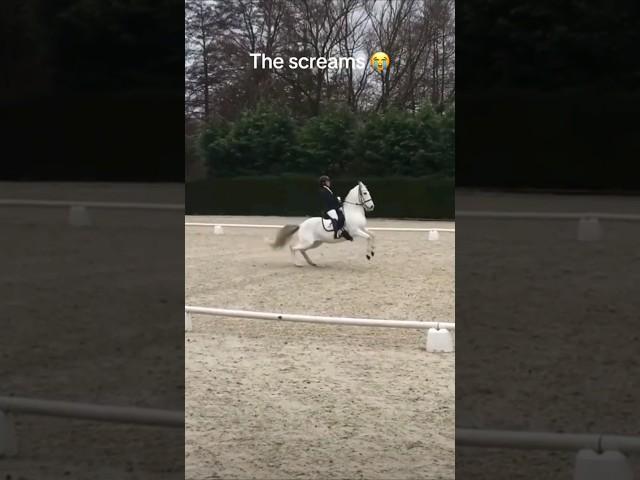 How To Get Eliminated In Dressage... The Thoughts In This Horse's Mind and That "Jump" LOL #fail