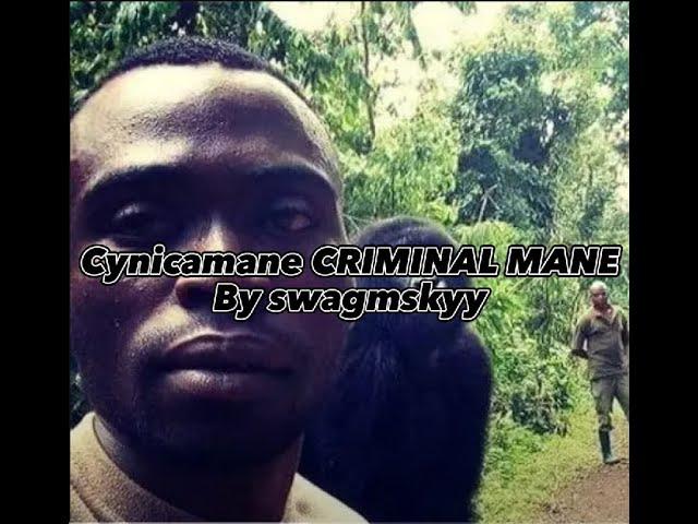 Cynicamane CRIMINAL MANE by swagmskyy ( deleted song )