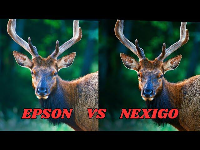 Epson EpiqVision Flex CO-FH02 vs NexiGo PJ40 (Gen 3) - Picture Quality Comparison