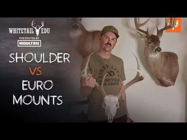 Which Type of Mount is Better? | Whitetail EDU