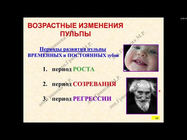 Гистология. Строение зубов. Пульпа, дентин