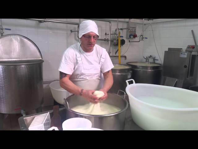 produzione mozzarella (casaro giuseppe pellicoro)