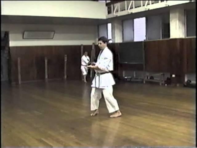 13 Okinawa Goju Ryu Kata