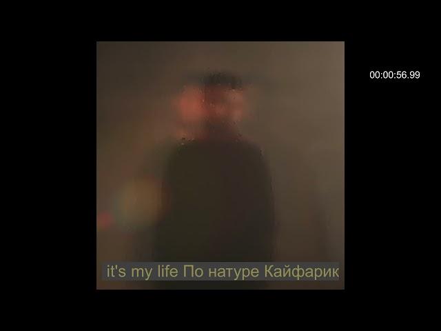 it's my life По натуре Кайфарик -JANAGA -По сути #music #newmusic #музыка #новинка