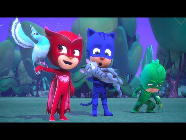 PJ Masks Full Episodes | PJ Seeker