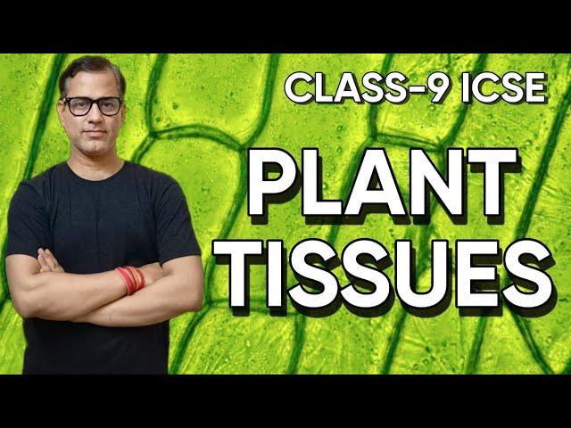 Tissues Plant and And Animal Tissues ICSE Class 9 | Tissues Class 9 ICSE | @sirtarunrupani