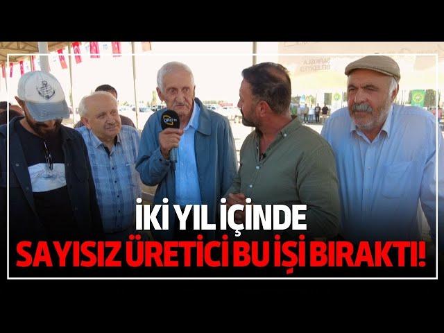 Kangal Koyunu Pazarlığı / "İki Yıl İçinde Sayısız Üretici Bu İşi Bıraktı!"