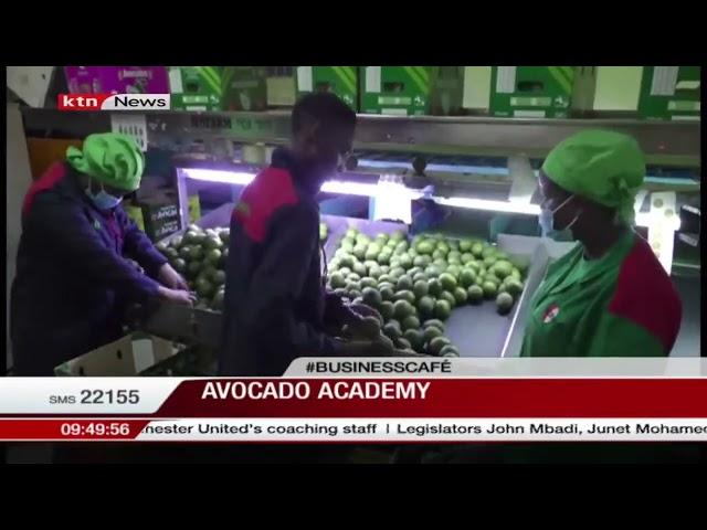 Avocado academy: Kakuzi pilots e-learning extension service