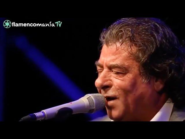 #FLAMENCOMANIA TV | Homenaje a Juan Moneo Lara 'El Torta' | Lunes, 8 de enero de 2024