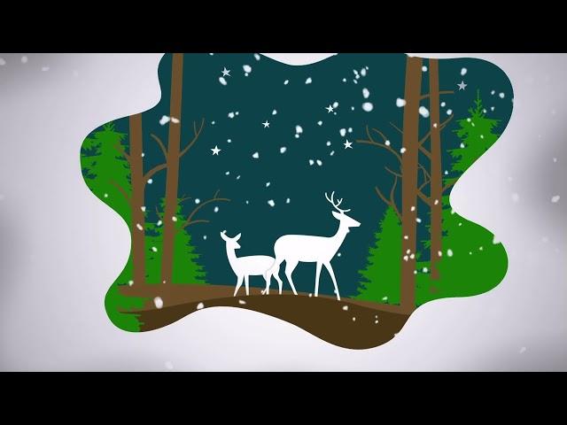 NextGen Broadcasting Media Solutions Season's Greetings animated video