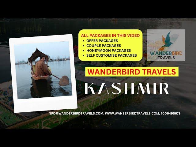 Kashmir Tour Packages With Price | Kashmir Couple Trip Budget | Best Kashmir Tour Package with Price