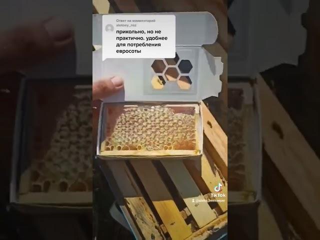 Сотовый мёд в мини рамке 
