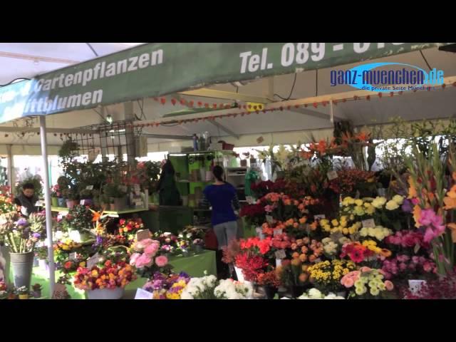 Viktualienmarkt München im Herbst - Impressionen von ganz-muenchen.de