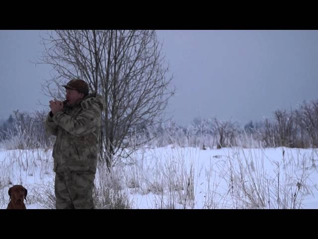 Fowl Field speck