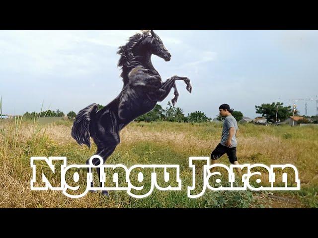 GUJIH | NGAPAK | Kepengin Ngingu Jaran