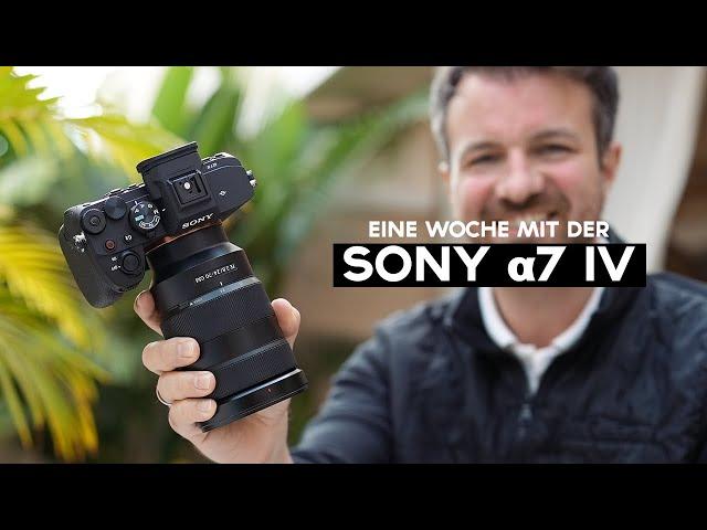 SONY a7 IV in der PRAXIS auf Teneriffa