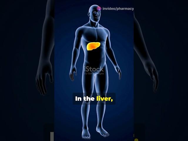 First-pass metabolism #shorts #pharmacology #metabolism #pharmacy #biology #study #studypharma