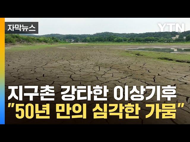 [자막뉴스] 지구촌 강타한 이상기후...우리도 50년 만의 심각한 가뭄 / YTN