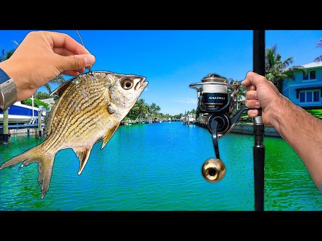 Tossing BIG Baits in Florida's Residential Canals. (Caught a GIANT)