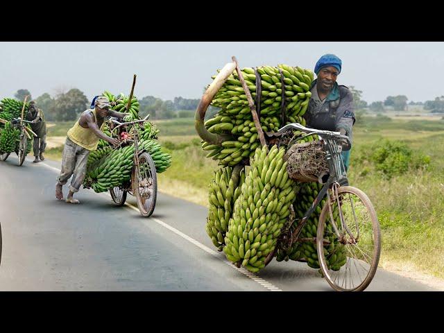 Africa’s Cheapest Solution to Transport Tons of Farm Product