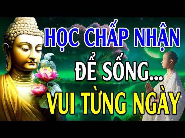 Học Cách Bình Thản Để Sống Vui Từng Ngày - Suy Ngẫm Sự Đời - Lời Phật Dạy